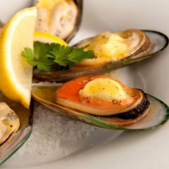 紐西蘭半殼青口