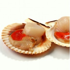 急凍半殼扇貝