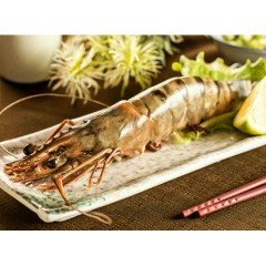 10"特長珍寶海虎蝦